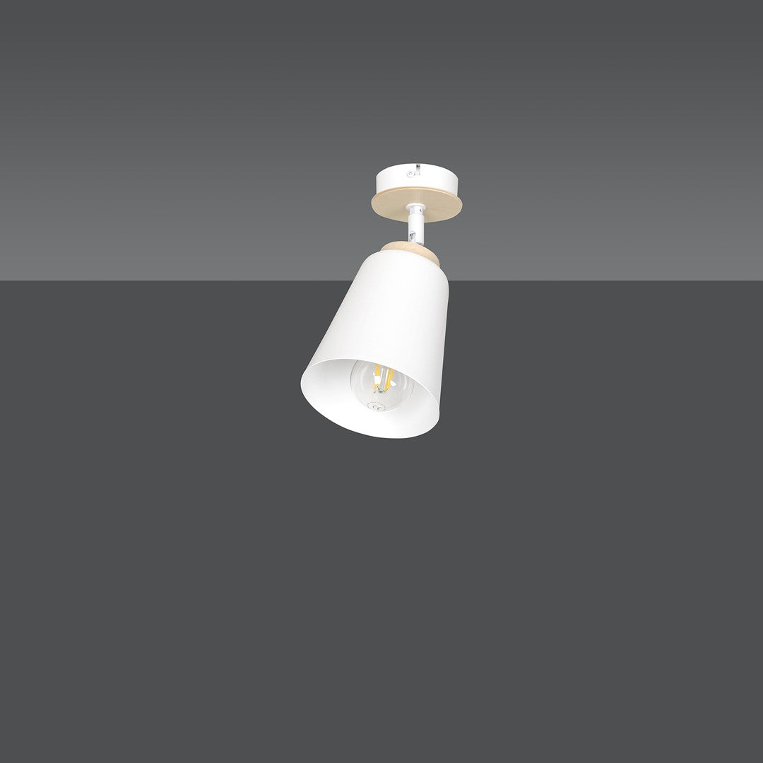 Atlas 1 ceiling spotlight white