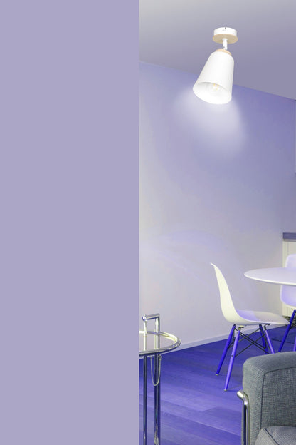 Atlas 1 ceiling spotlight white