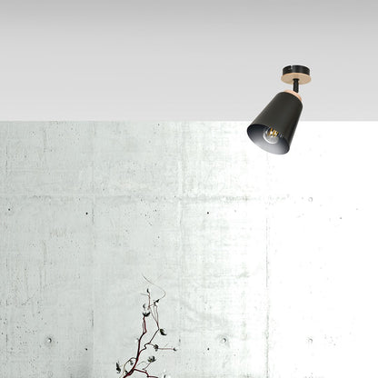 Atlas 1 ceiling spotlight black