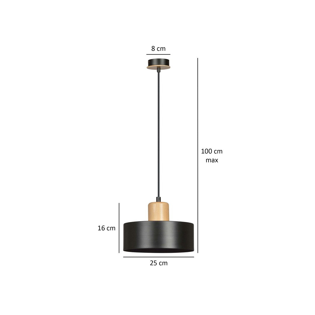 Torin 1 pendant light black
