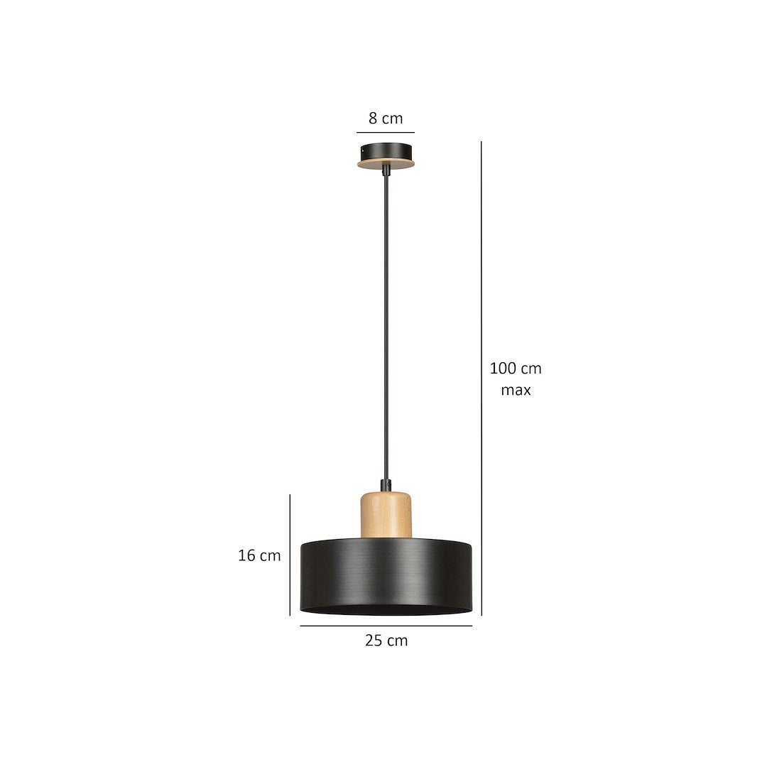 Torin 1 pendant light black