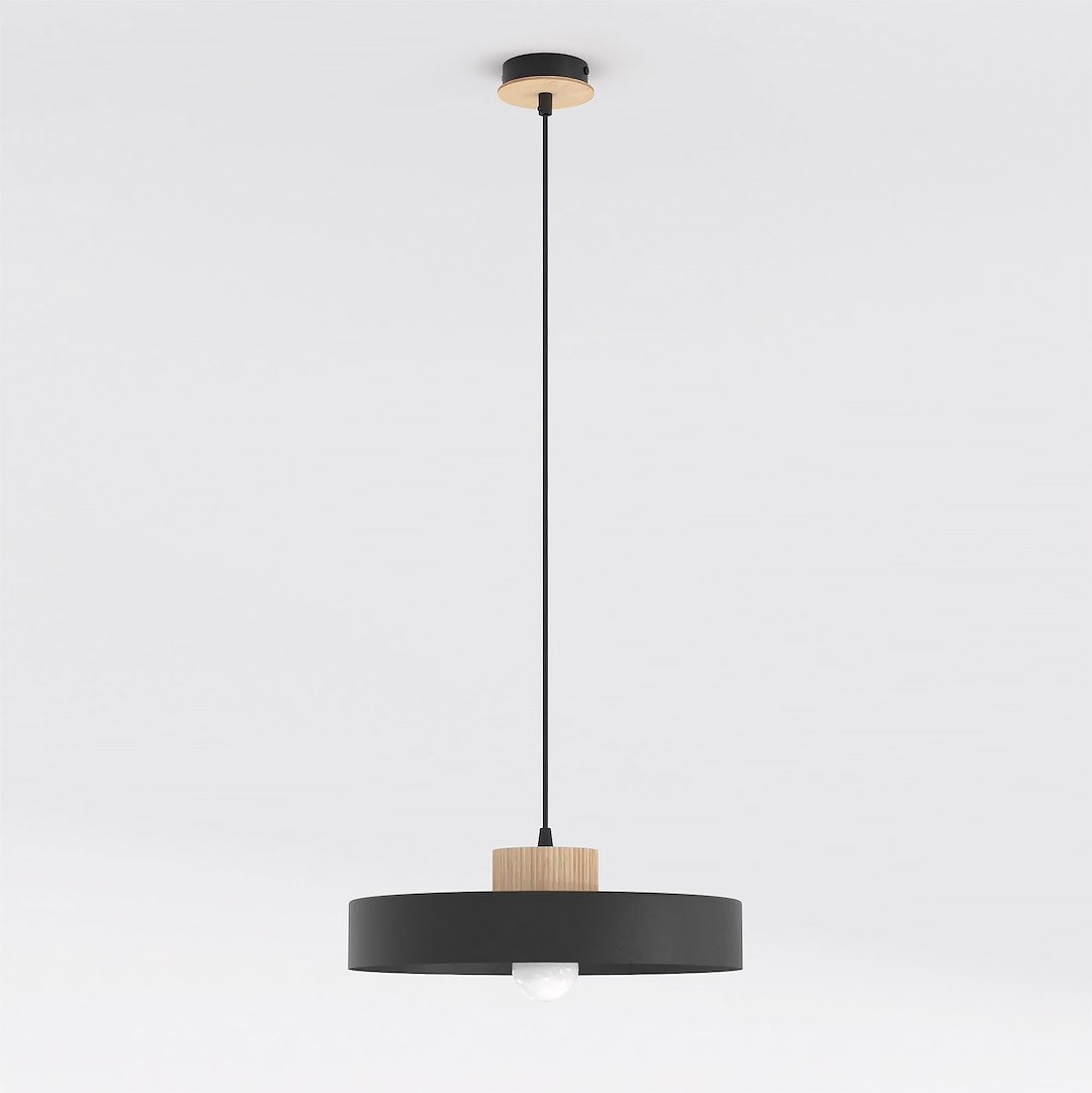 Kivi 1L pendant light black