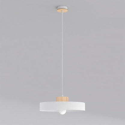 Kivi 1L pendant light white