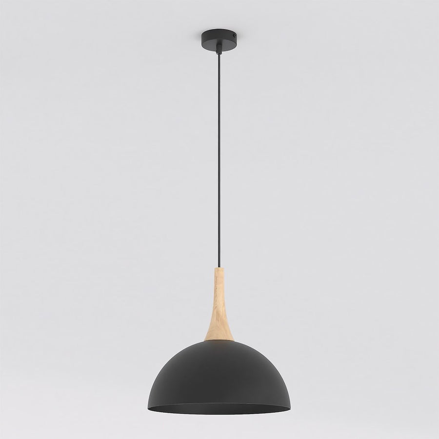 Nautica 1S pendant light black