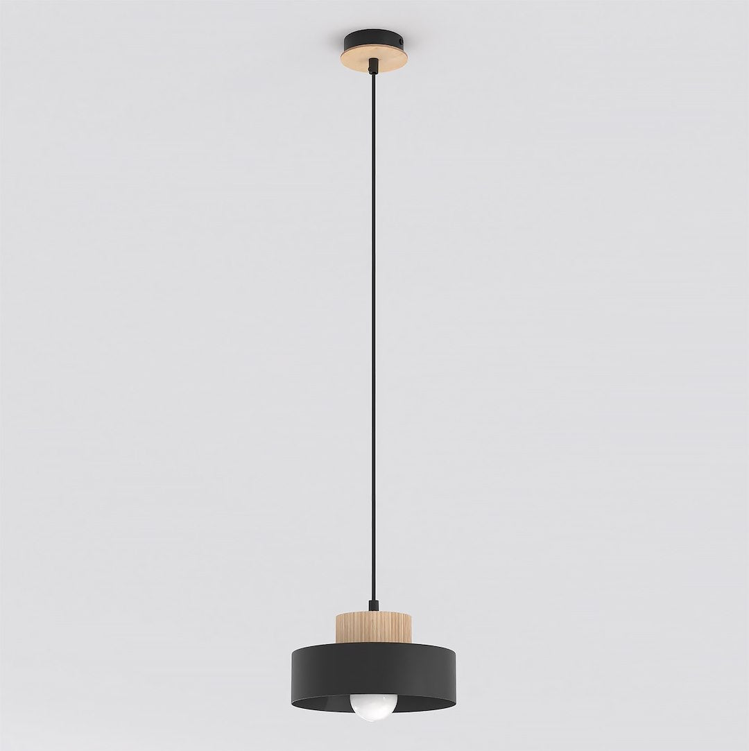 Kivi 1S pendant light black