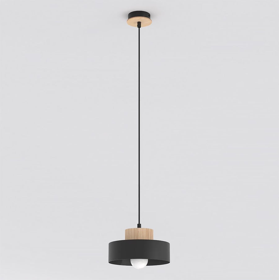Kivi 1S pendant light black