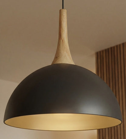 Nautica 1S pendant light black
