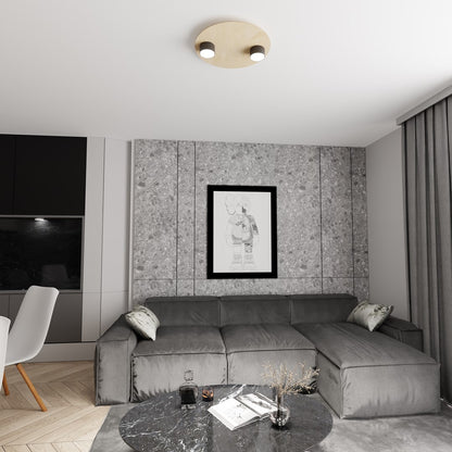 Pixo 2 ceiling lamp black