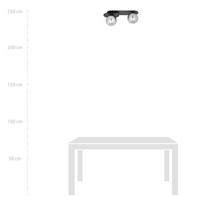 Plaza 2 ceiling lamp black/graphite