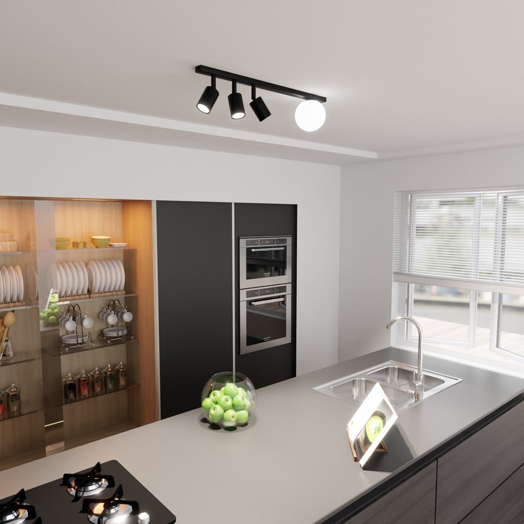 Baster 4 ceiling lamp black