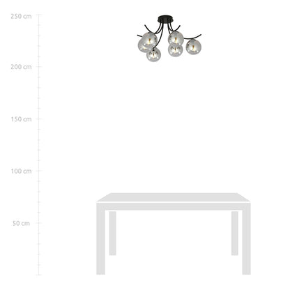 Boston 6 ceiling lamp black/graphite