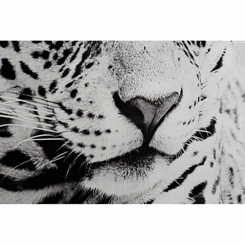 V12H487BF519285E1B47E3652DE489BBAB7DR6371992P3