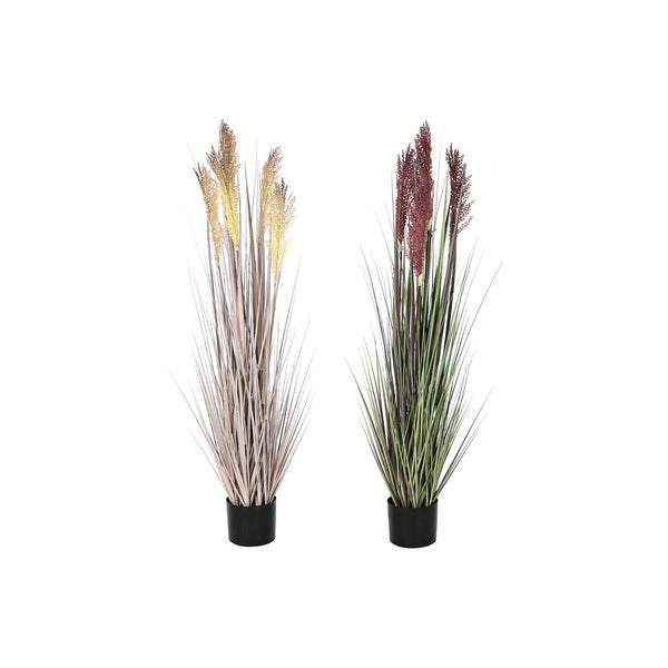 V8H6B1C1D21331D82CFF5E2531BE191D67AR5663372P1